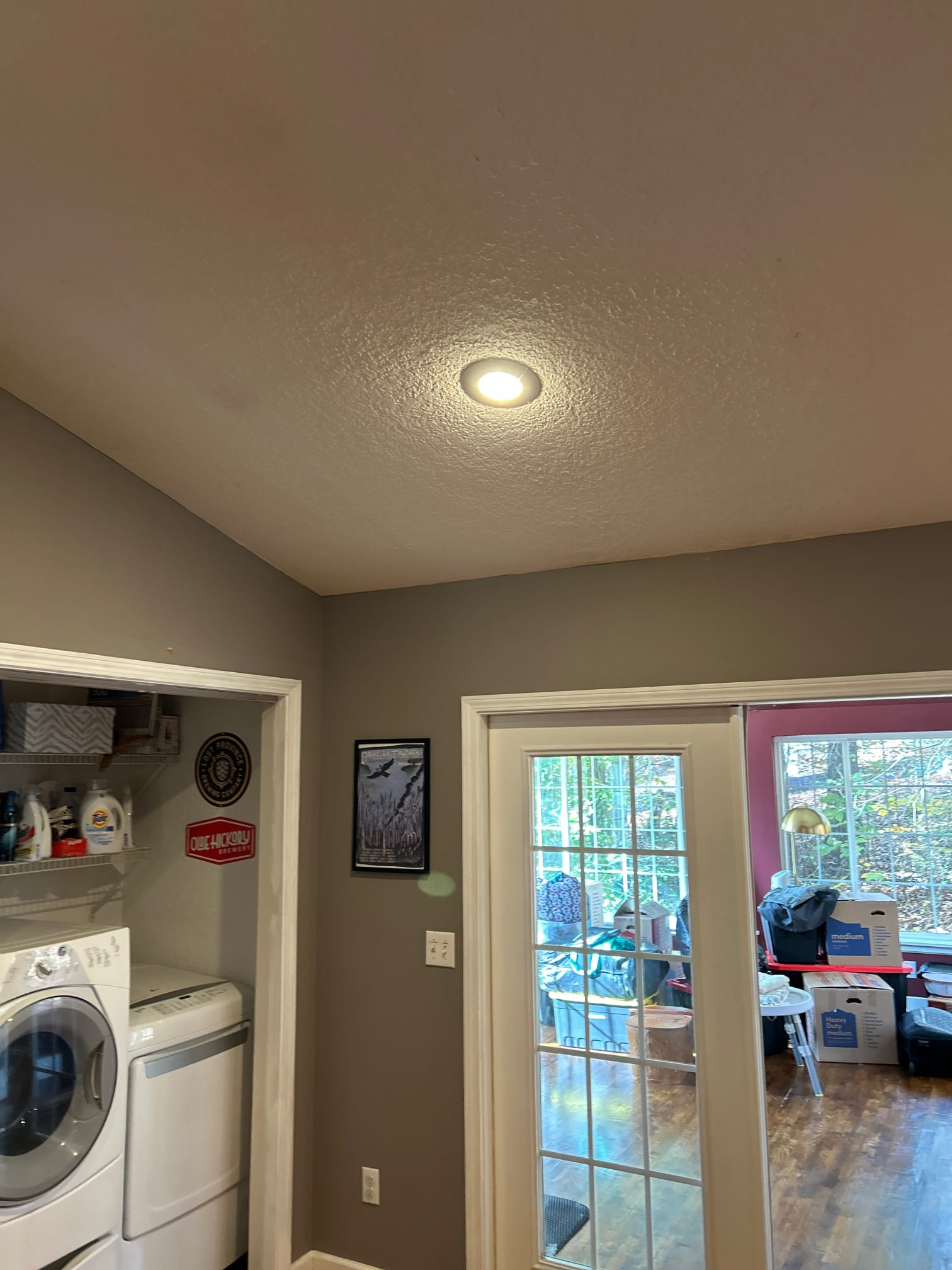 Ceiling Fan Installation & Dimmer Switch Replacement in Asheville