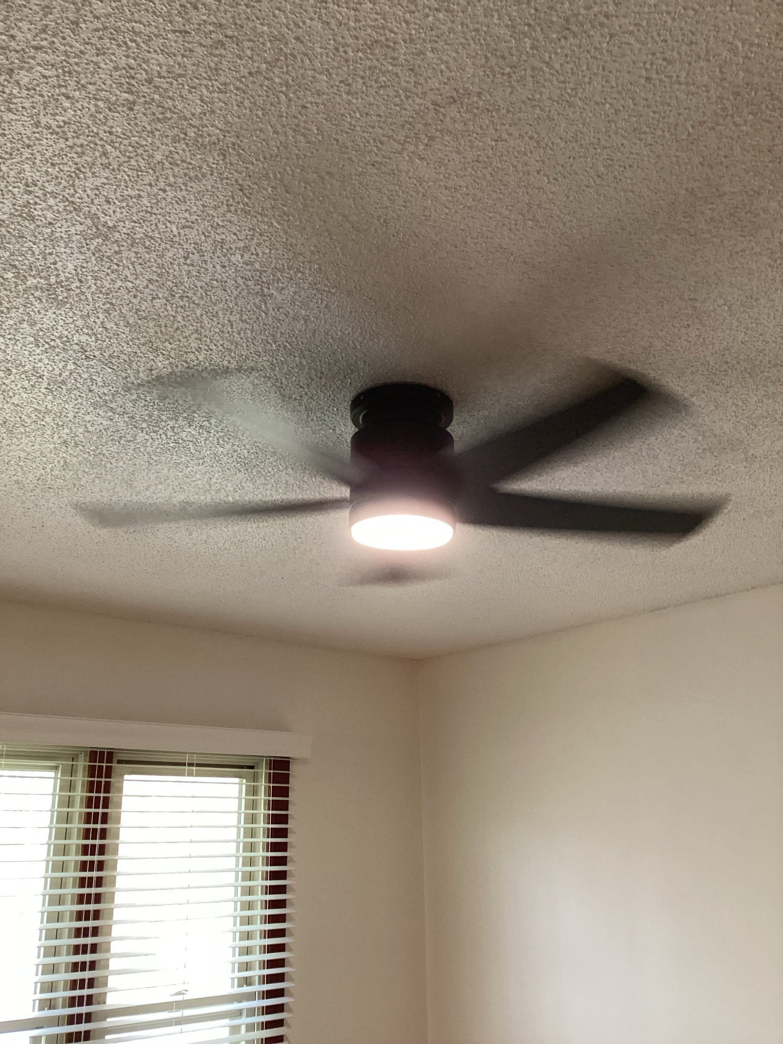 Chapel Hill Ceiling Fan and Light Installation