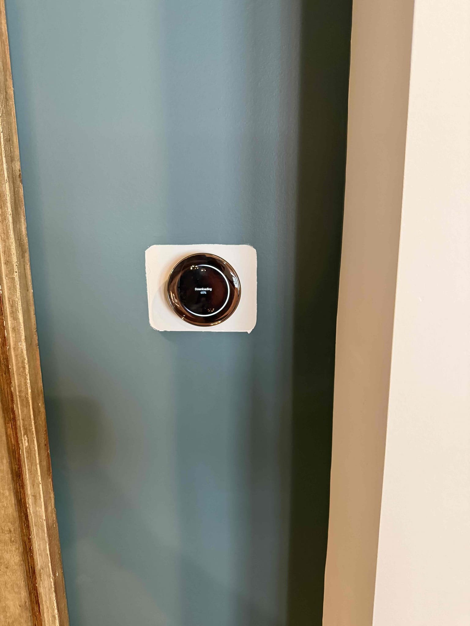 Chandelier and Nest Thermostat Installation in Mint Hill