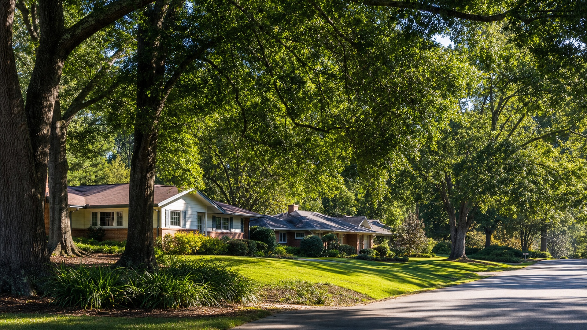 Forest Acres South Carolina residential area served by Touchstone Electric